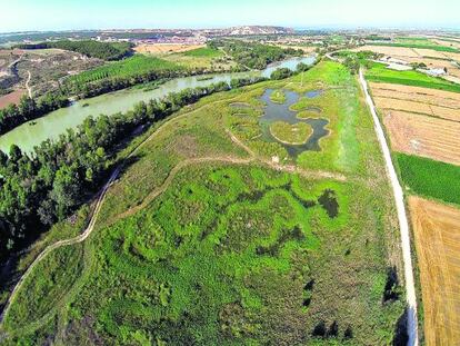 Vista de la zona de Caparroso, en Navarra, hábitat del visón europeo.