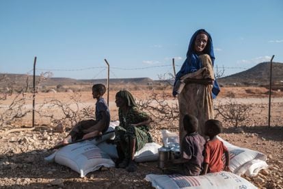Mujeres y niños desplazados, sentados junto a sacos de trigo durante una distribución de alimentos en Etiopía el 10 de enero.