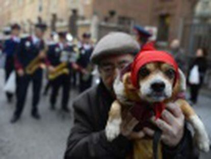 Un año más, los madrileños acuden a la iglesia del patrón de los animales para que sus perros y gatos gocen de buena salud