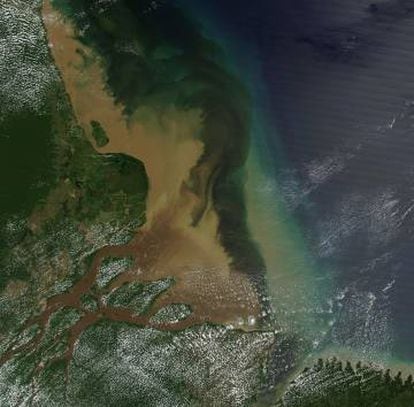 La ingente cantidad de sedimentos que descarga el río Amazonas en el Atlántico, vista desde el satélite.