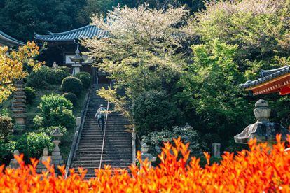 La cara más <i>honne</i> (privada) de Japón la descubriremos en <a href="https://shikoku-tourism.com/" target="_blank">Shikoku</a>. La peregrinación por los 88 templos sagrados de la isla, la cuarta más grande del país; descubrir un valle remoto con puentes de glicinias (<i>kazura-bashi</i>), estrechas carreteras y pequeñas aldeas; o visitar la primera localidad cero residuos del país son algunas de las sorpresas que aguardan aquí. Shikoku es una combinación del viejo y del nuevo Japón envuelta en paisajes preciosos, con una historia y una cultura especialmente ricas y antiguas, y una red de senderos budistas de peregrinación que son su seña de identidad. Podremos sumarnos a los <i>henro</i> (peregrinos) que durante 1.200 años han caminado por Shikoku en busca de la iluminación a lo largo de 1.400 kilómetros. O acercarnos a los bosques de las montañas del este para conocer el pequeño pueblo de Kamikatsu, cuyos residentes compostan todos sus residuos orgánicos y clasifican la basura en ¡45 apartados!, y donde un programa especial permite a los visitantes convertirse en lugareños durante dos semanas.<br></br> Y para concluir, el viaje al escondido valle de Iya, que ofrece una cara diferente del país asiático, al margen de las rutas más trilladas y sus grandes megalópolis.