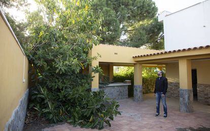 El árbol protegido que terminó invadiendo una casa | Diario De España | EL  PAÍS