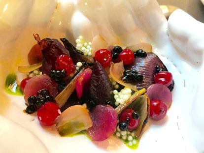 ENSALADA DE CEBOLLITAS, TAPIOCA Y FRUTOS ROJOS / CAPEL