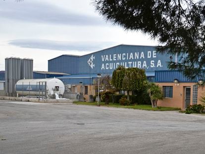 Instalaciones de Valenciana de Acuicultura en Puçol, Valencia.