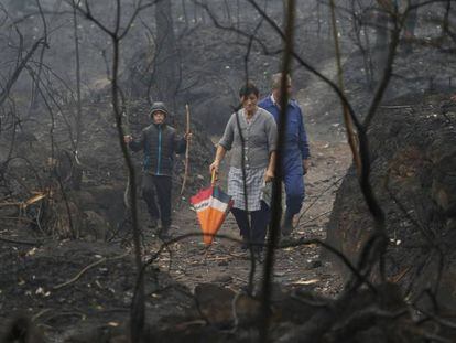 Varias personas caminan entre los &aacute;rboles quemados en Chandebrito, Galicia. 