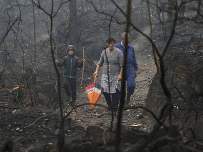 Varias personas caminan entre los &aacute;rboles quemados en Chandebrito, Galicia. 