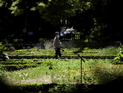 Una mujer con mascarilla visita el Real Jardín Botánico de Madrid en su reapertura tras el confinamiento de la primavera de 2020.