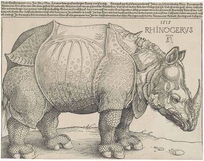 El 'Rinoceronte de Durero' es un grabado xilográfico de un rinoceronte indio que había llegado a Lisboa, del pintor alemán Alberto Durero en 1515.