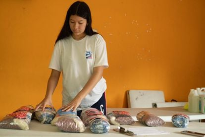 Grace Hilendara, student and daughter of the general coordinator of the Emanuel Shelter in Rivera Hernández, during a day of volunteer work.