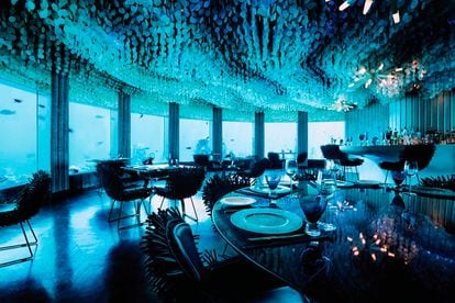 Subsix (Maldivas)

Aquí yace la definición literal de bailar debajo del mar. A 6 metros de la superficie del océano Índico se encuentra este restaurante que también hace las veces de club nocturno (el primero del mundo). Solo se puede acceder en lancha, ya que está separado unos 500 metros del Per Aquum Niyama Resort.