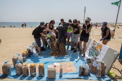 Recogida de colillas como protesta en una playa de Barcelona, en 2019.