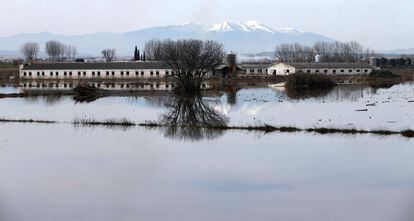 Según han informado fuentes del Gobierno de Aragón a Europa Press, de las 114 personas que permanecen desalojadas, 69 son los usuarios de la residencia de mayores del barrio rural de Molzalbarba, en la capital aragonesa. En la imagen, zonas inundadas en Boquiñeni.