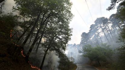 El incendio que afecta la sierra de Santiago, en Nuevo León, el pasado 12 de abril.