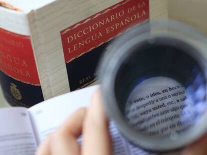 Un ejemplar del 'Diccionario de la Lengua Española'.