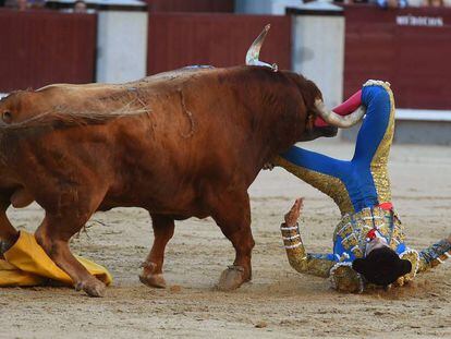 El torero Ritter, corneado cuando intentaba hacer un quite por chicuelinas al cuarto toro de la tarde.