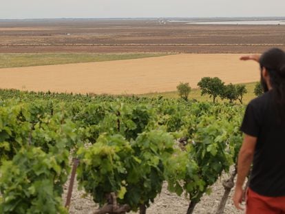 Pepe Nuñez Cabral, presidente de la asociación ecologista Río Limpio, señala la ubicación de Trebujena dónde se prevé la construcción de una urbanización con 300 villas de lujo, hoteles y un campo de golf en las cercanías del Parque Natural de Doñana.
