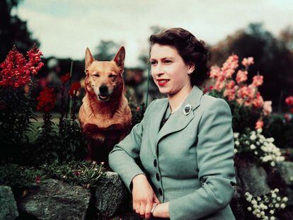 La reina Isabel II con uno de sus perros, en 1952.