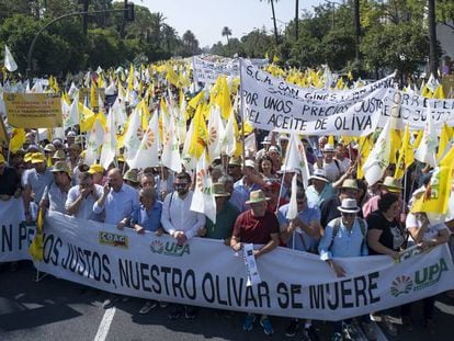 Manifestación de olivareros andaluces  en protesta por los bajos precios del aceite de oliva celebrada en julio de 2019 en Sevilla. PACO PUENTES