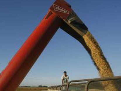 Un productor agropecuario controla la carga de semillas de soja en la localidad de Olivera, a unos 100 kilómetros de Buenos Aires. EFE/Archivo