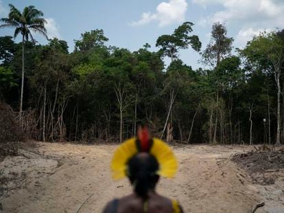 El jefe Kadjyre, de la etnia Kayapó, mira un sendero abierto por taladores en la Amazonia brasileña, en agosto de 2019.