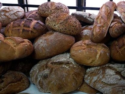 Variedad en el Museo del pan gallego