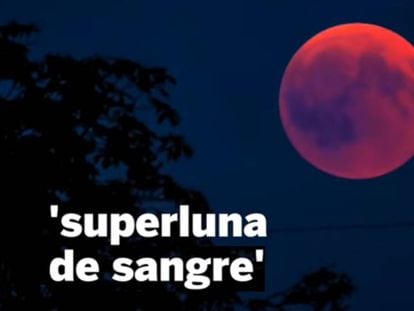 Superluna llena durante un eclipse lunar, en Berna (Suiza). Vídeo: Fenómeno de la Luna de Sangre del lobo.