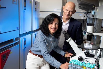 Los investigadores Concepción Rodríguez y Juan Carlos Izpisúa, del Instituto Salk.