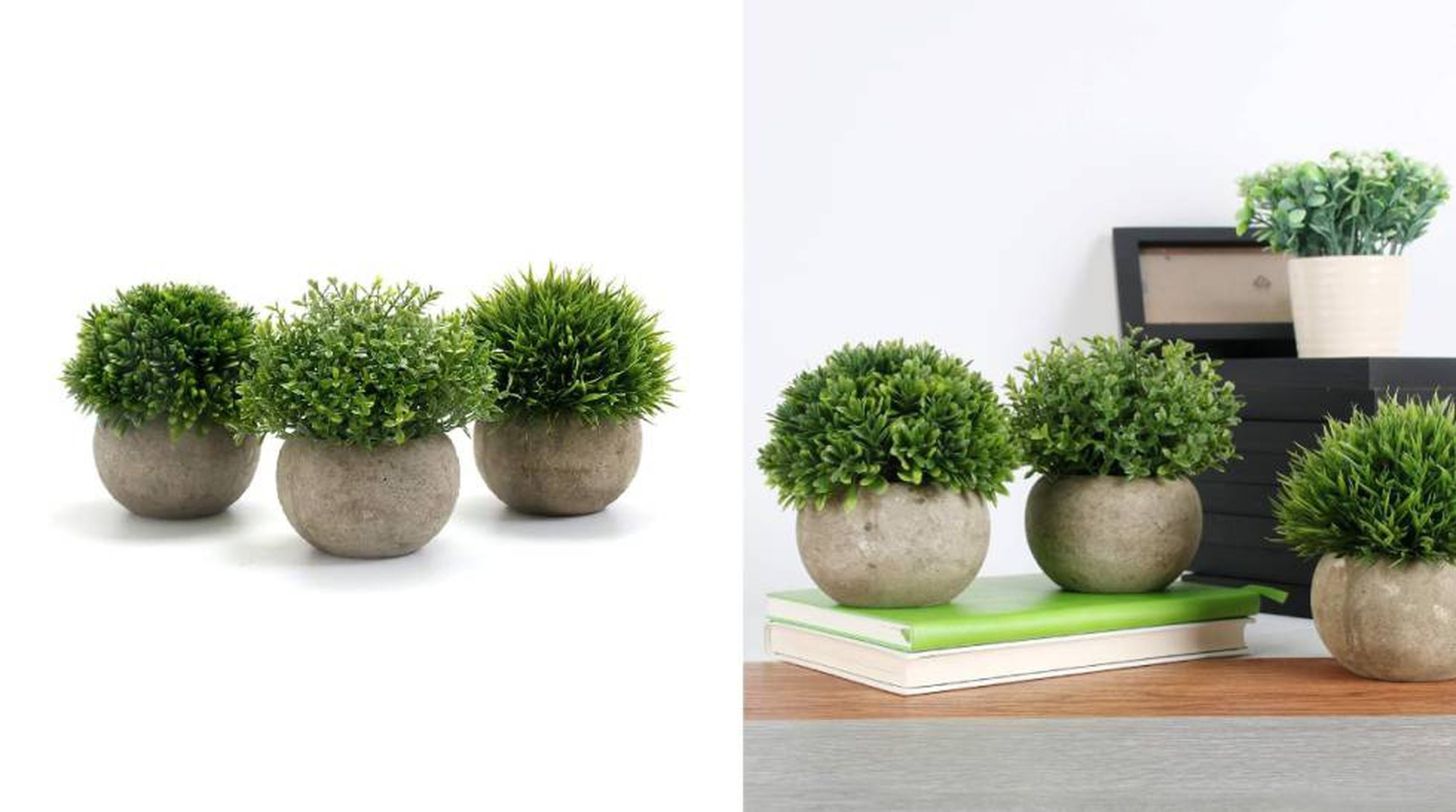 Fruncir el ceño barbilla Cambio 10 plantas y flores artificiales para decorar la casa que parecen de verdad  | Escaparate: compras y ofertas | EL PAÍS