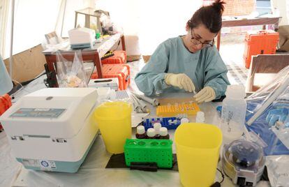 Una especialista trabaja en un laboratorio montado en una tienda de campaña en una sala de aislamiento para los pacientes en las instalaciones de Médicos Sin Fronteras en Guekedou, Guinea meridional.