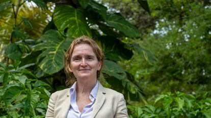 Alice Shackelford, coordinadora residente de la ONU en Honduras.