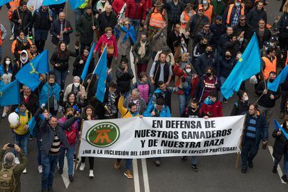 El sector agrario ha tomado las calles de Madrid para manifestarse en defensa de un futuro para la actividad agraria y el mundo rural.