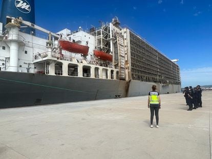 El buque de bandera panameña 'Mawashi Express' cargado con 16.000 vacas e interceptado en una operación antidroga de la Policía Nacional en Algeciras, donde lo registran en busca de 5 toneladas de cocaína.