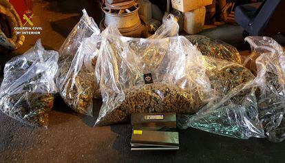 Marihuana confiscada per la Guàrdia Civil.