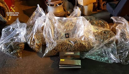 Marihuana confiscada per la Guàrdia Civil.