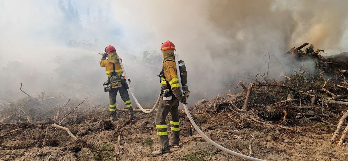 Spaniards Fighting Fires in Canada: “It’s a Huge Fire and They’ll Burn All Summer” |  climate and environment