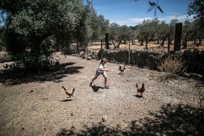 La hija mayor de Moñtaña Ferrer, Indira (siete años) en el corral de su casa intentando coger una de las gallinas.
