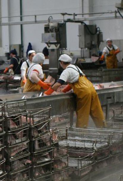 Operarias en una fábrica de conservas