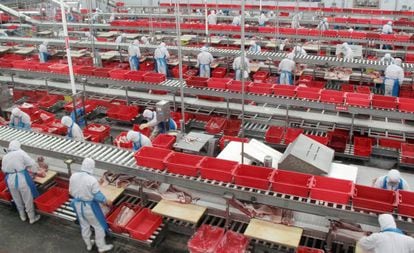 Trabajadores en una planta procesadora de carne de cerdo en Zhengzhou, China.