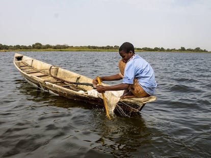 Barka Idriss mientras pesca en Tagal, en la región del Lago Chad (Chad).