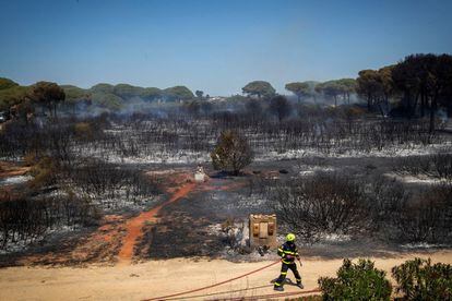 Un bombero camina delante de parte de los terrenos que se han quemado en el incendio declarado en una zona de pinares de Roche, en Conil de la Frontera (Cádiz).