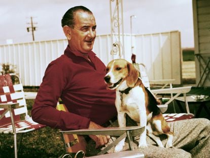 Lyndon B. Johnson en una imagen relajada con uno de sus perros en 1956, cinco años antes de ser vicepresidente y siete antes de convertirse en el presidente de Estados Unidos tras el asesinato de Kennedy.