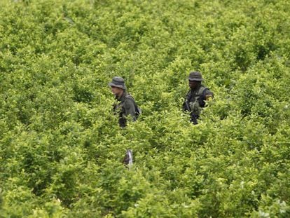  Policías patrullan un cultivo de coca en el sur de Colombia. 