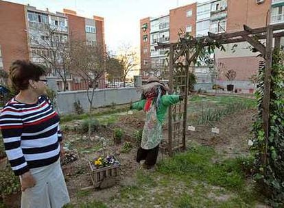 La huerta urbana del barrio del Pilar nació en 2007 y consiguió cambiar la cara a la plaza de Corcubión.