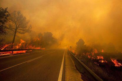 Las llamas rodean una carretera el sábado en la localidad valenciana de Yátova (Valencia). Tanto el incendio originado en Cortes de Pallás (el de la imagen) como el de la localidad de Andilla han obligado a cortar al menos nueves carreteras en la Comunidad Valenciana.