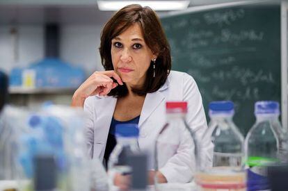 La profesora de Bioingeniería en la Universidad Carlos III de Madrid.
