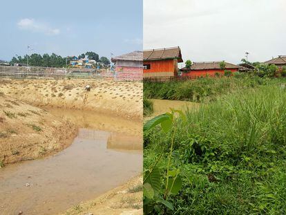 La reforestación de los sistemas de drenaje en Cox's Bazar (Bangladés) ayuda a fijar el suelo y reducir los corrimientos de tierra.