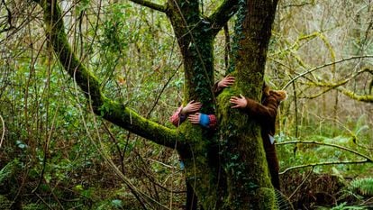 Abrazos forestales durante un baño de bosque en Asturias.