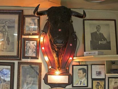 Cap de toro, al bar Bretón de Barcelona.
