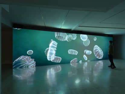 El museo Nacional Thyssen-Bornemisza sumerge a sus visitantes en la novela 'Moby Dick' con la instalación inmersiva 'De ballenas', el 20 de febrero de 2023.