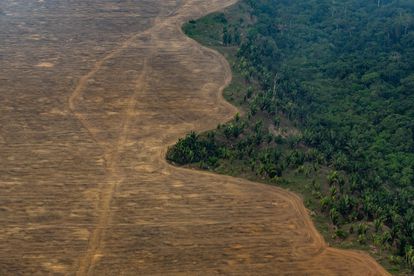 Deforestación de la Amazonia
